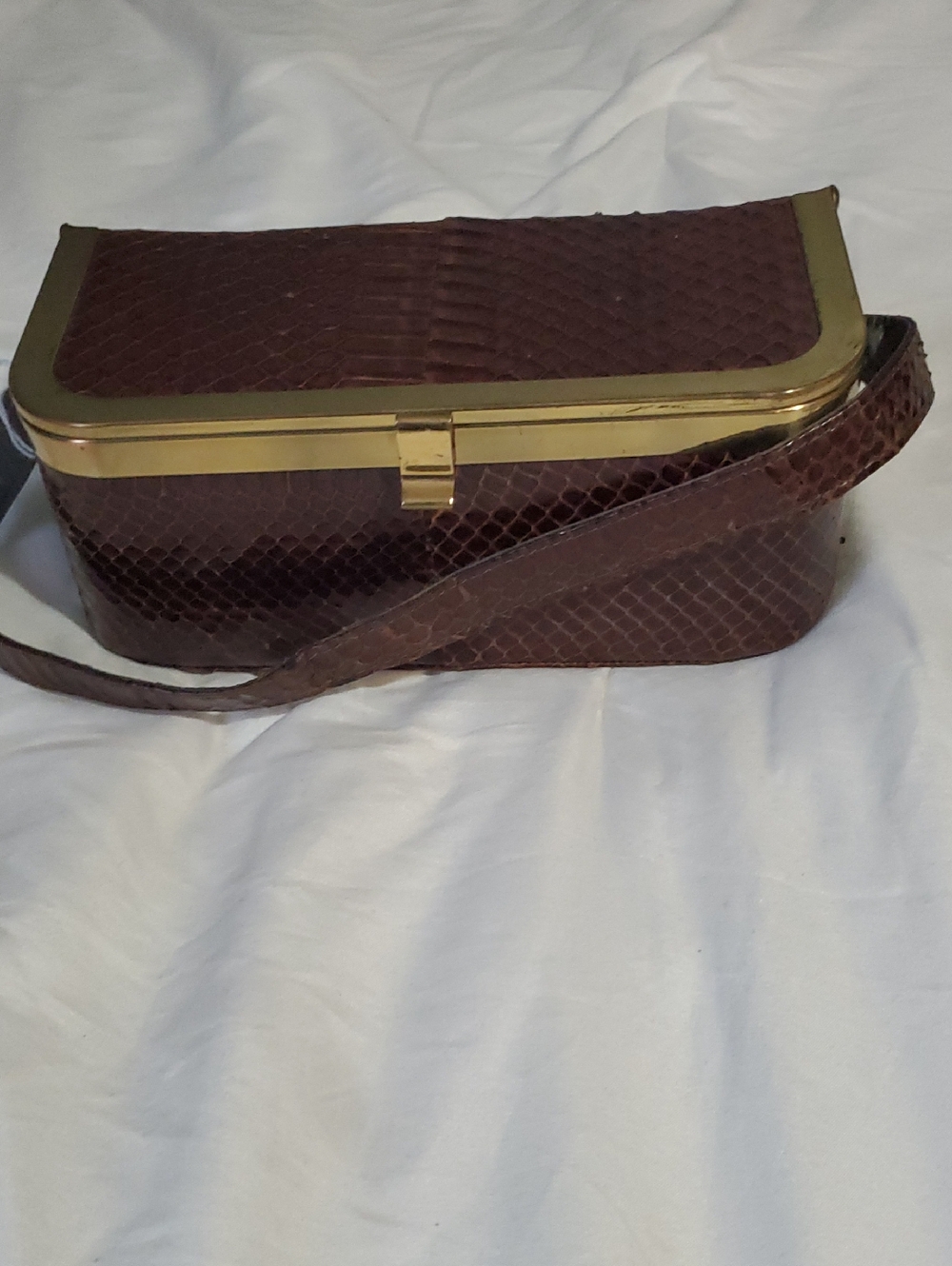 Vintage Brown Snakeskin Handbag with Brass Trim